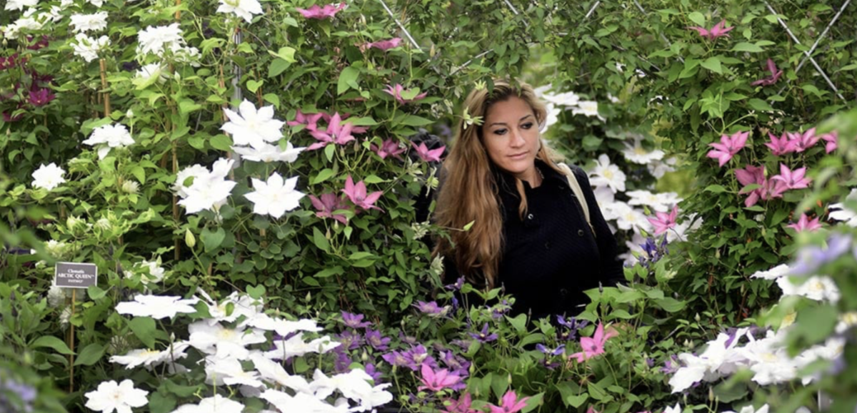 Chelsea flower show 2026