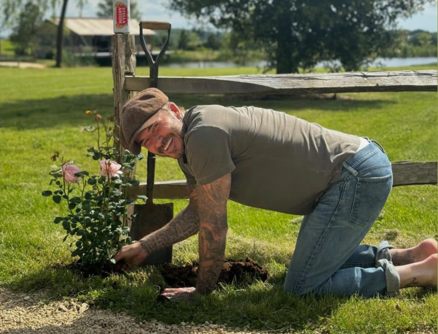 David Beckham.small image