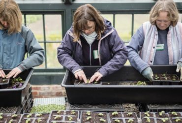 National trust spring gardening