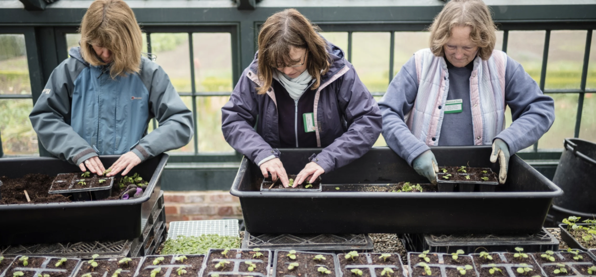 National trust spring gardening