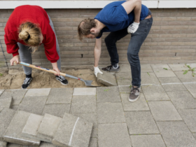 Urban gardening and re-greening