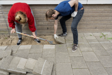 Urban gardening and re-greening