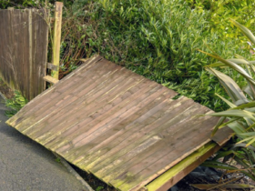 Garden border disputes