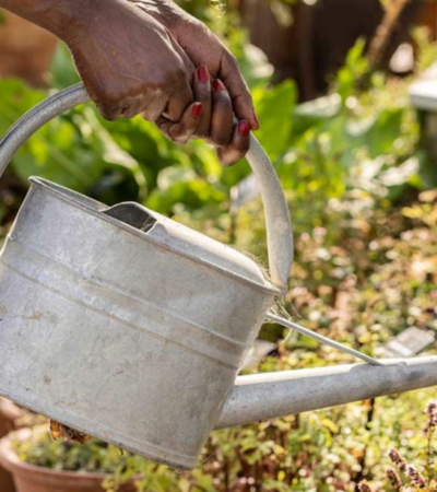 Peat-free compost