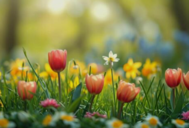 April gardening and flowers