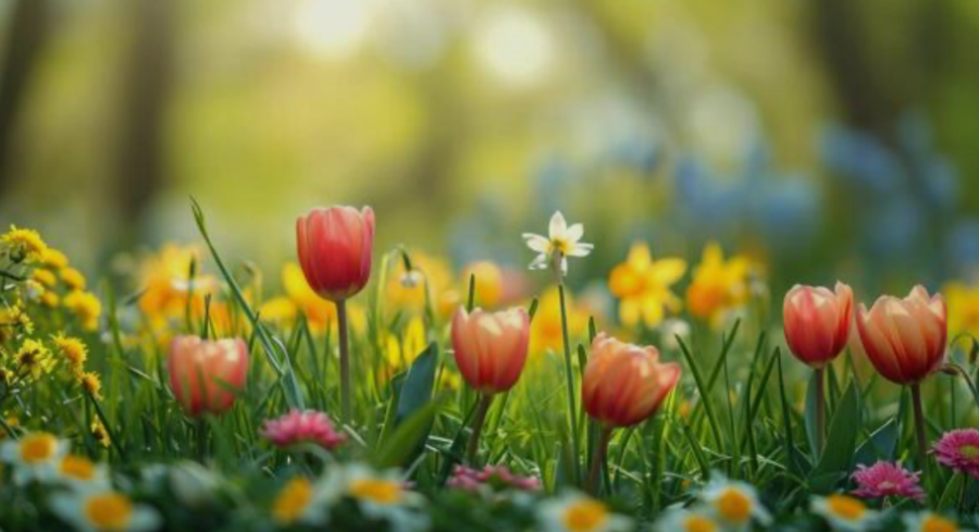 April gardening and flowers